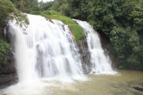 Coorg 1N2D Ex Bangalore