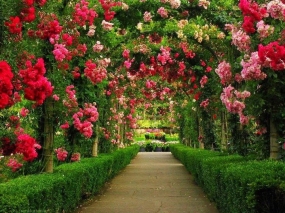 Ooty 2N3D Ex Bangalore
