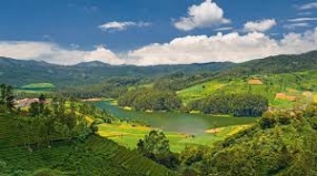 Super Saver Ooty -1N2D Ex Coimbatore