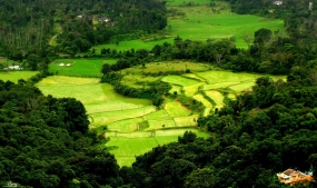 Exciting Coorg 2N3D Ex Bangalore