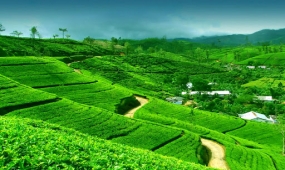 Queen of Hills -Darjeeling 3N4D