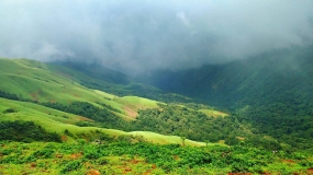 Weekend Gateway Chikmagalur 1N2D Ex Bangalore