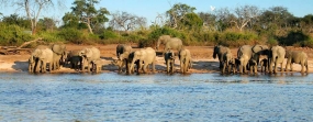 Weekend Gateway Corbett 2N3D Ex Delhi