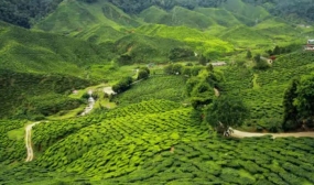 A Week in Kerala 6N7D